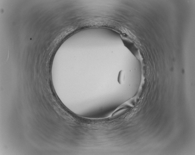 X0000077330673200611171808