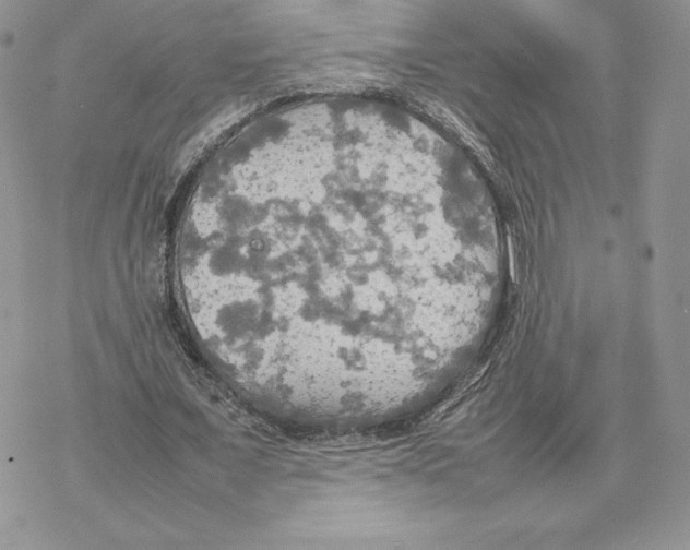 X0000077330675200611171808