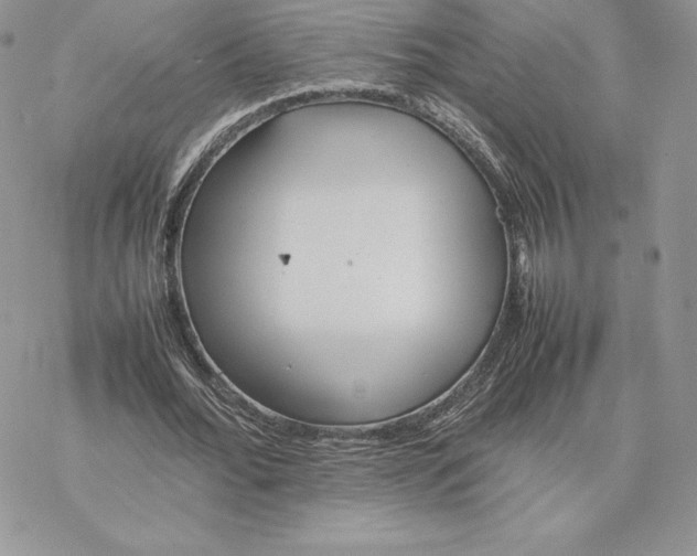 X0000077330676200611171808