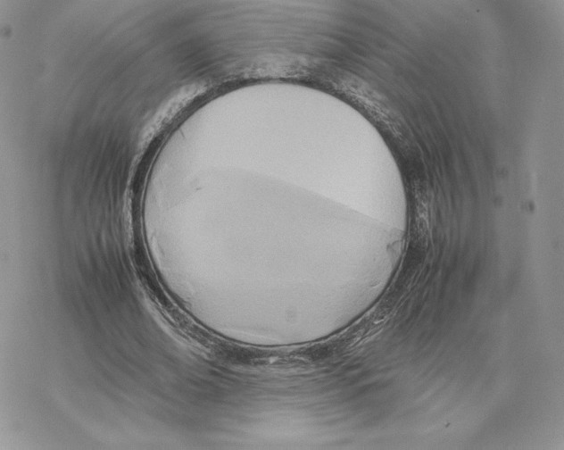 X0000077330678200611171808