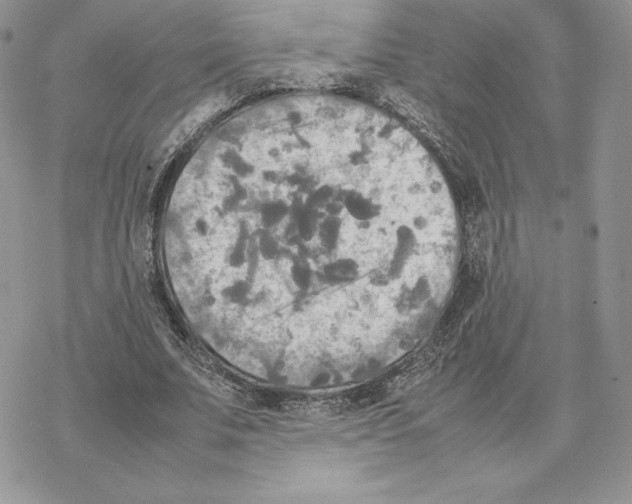 X0000077330679200611171808