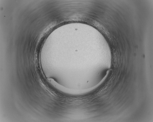 X0000077330680200611171808