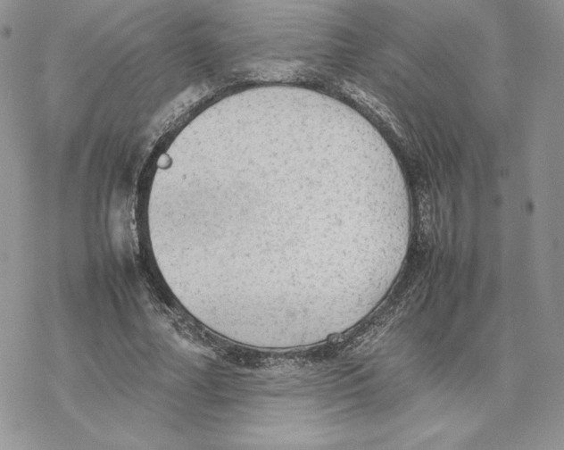 X0000077330682200611171808