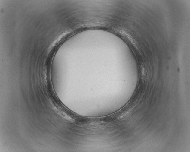 X0000077330684200611171808