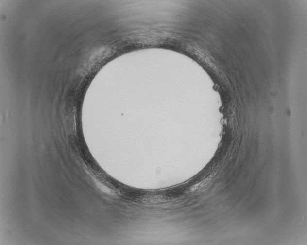 X0000077330685200611171808