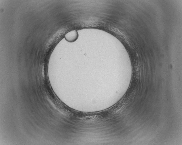 X0000077330686200611171808