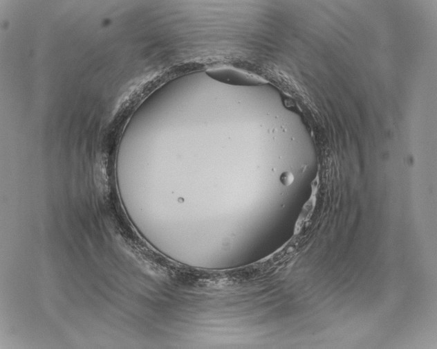 X0000077330688200611171808