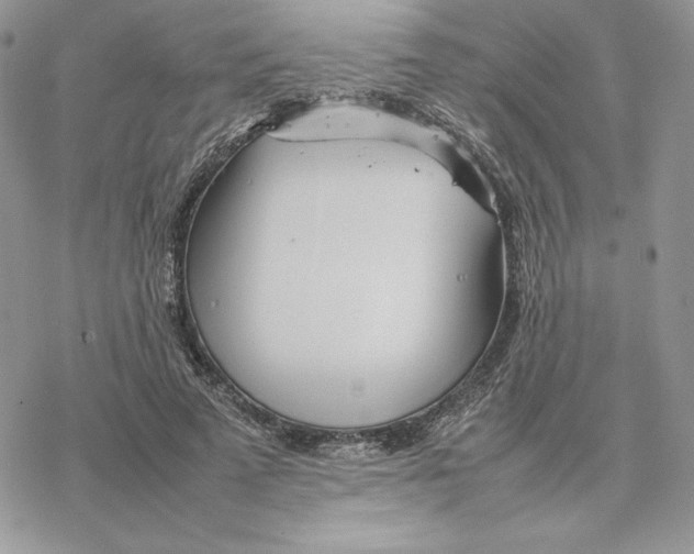 X0000077330689200611171808