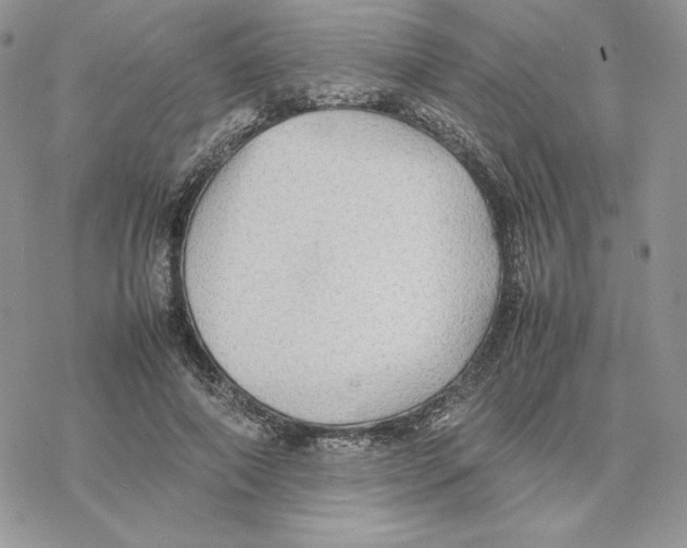 X0000077330690200611171808