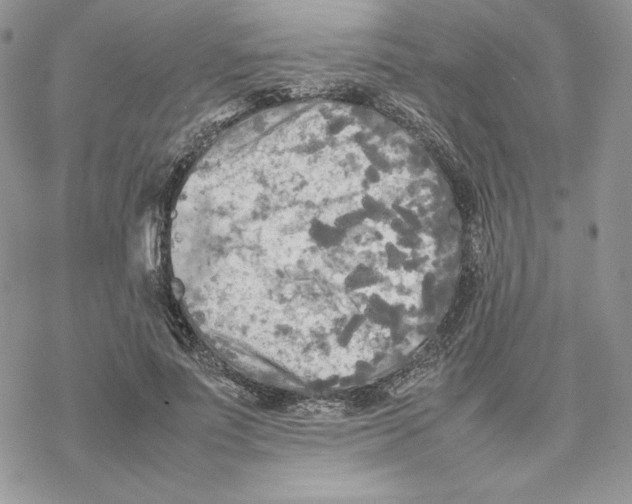 X0000077330691200611171808