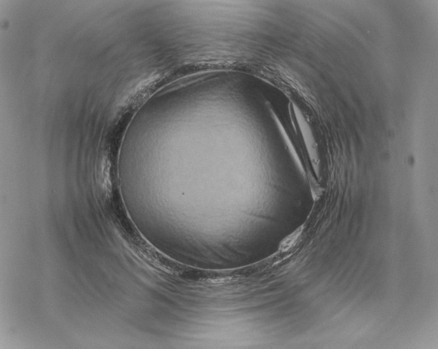 X0000077330692200611171808