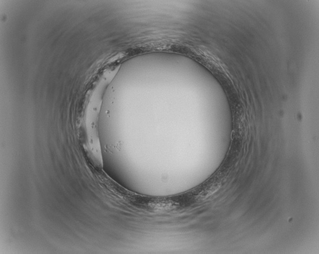 X0000077330693200611171808