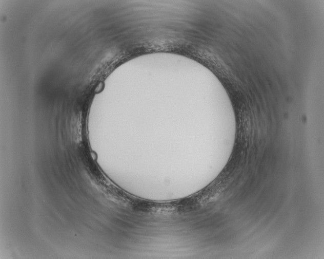 X0000077330694200611171808