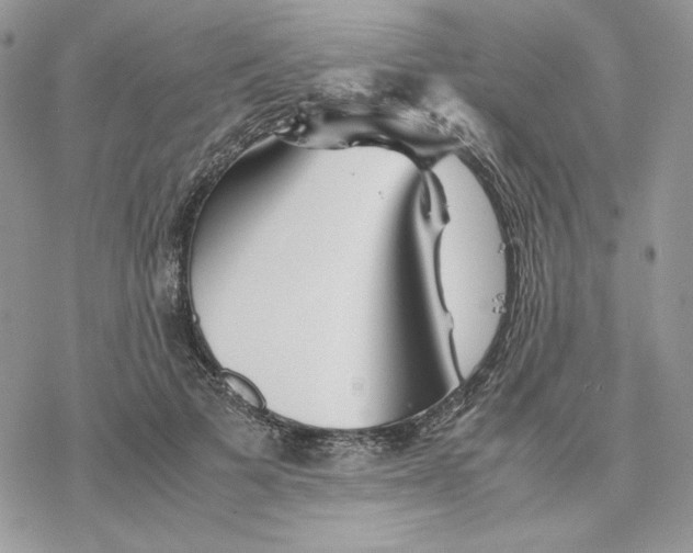 X0000077330697200611171808