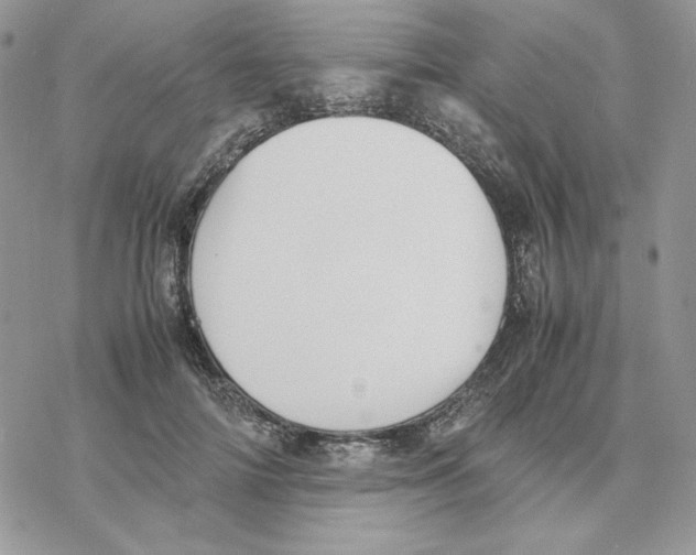 X0000077330698200611171808