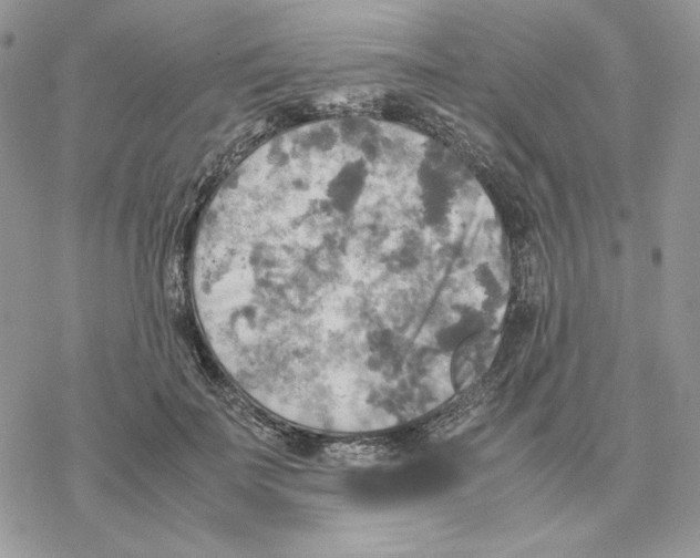 X0000077330699200611171808