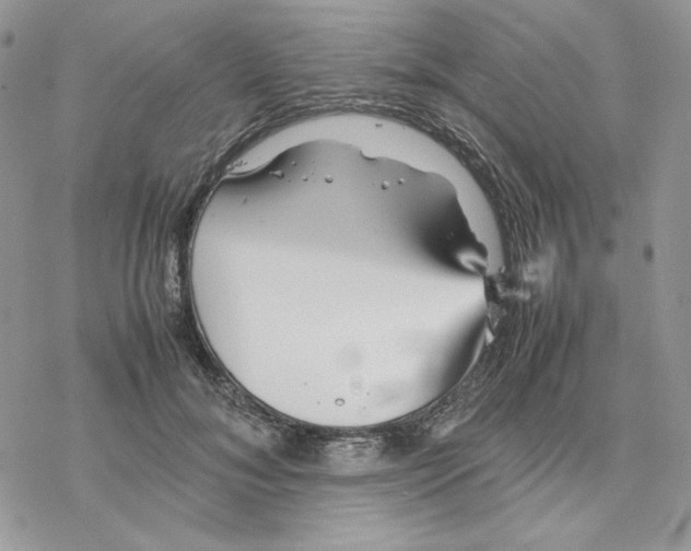 X0000077330700200611171808