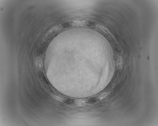 X0000077330701200611171808