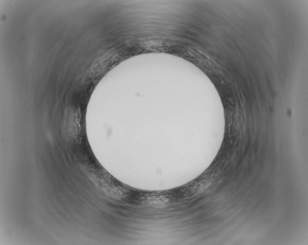 X0000077330702200611171808