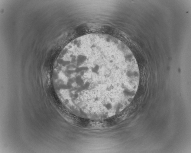 X0000077330703200611171808