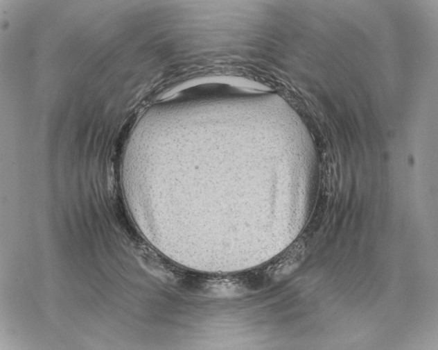 X0000077330704200611171807