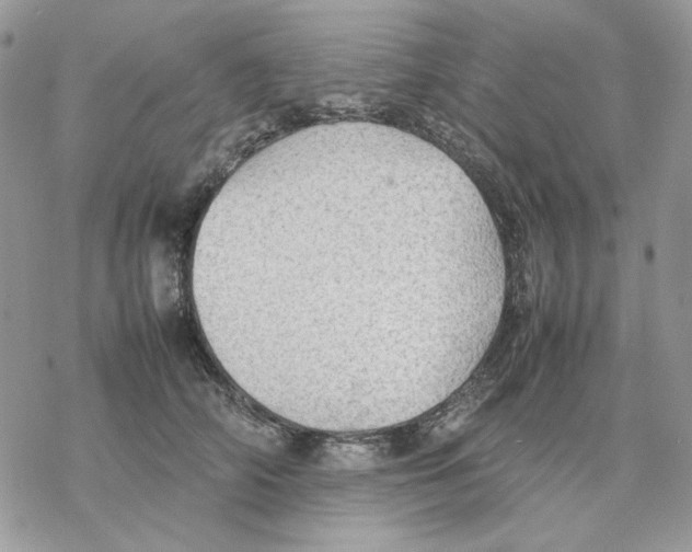 X0000077330706200611171807