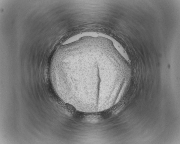 X0000077330708200611171807