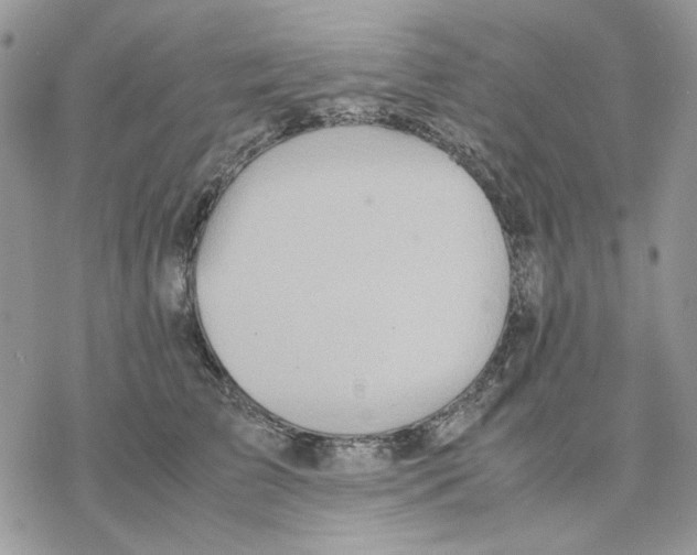 X0000077330709200611171807