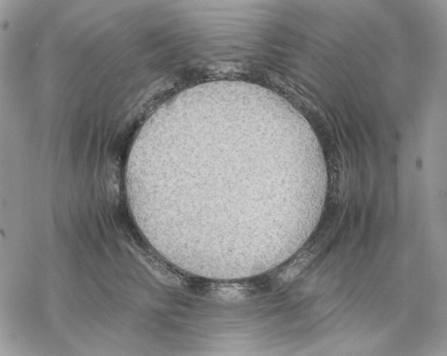 X0000077330710200611171807