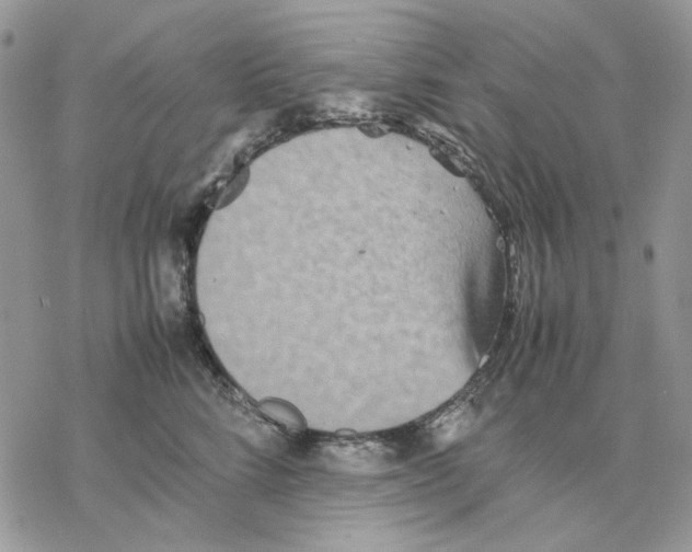 X0000077330712200611171807