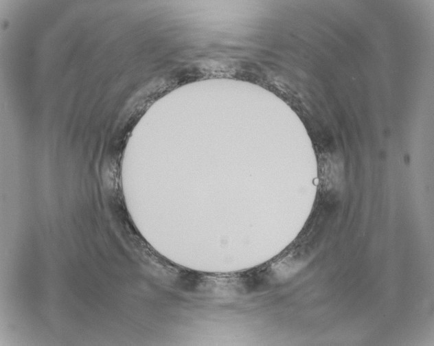 X0000077330713200611171807