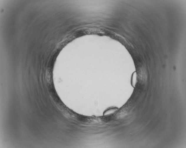 X0000077330715200611171807