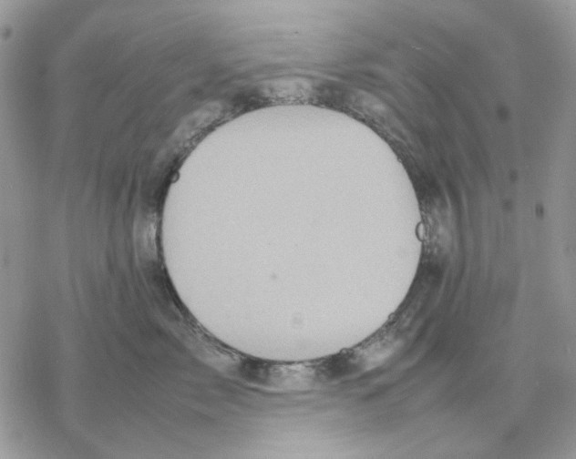 X0000077330717200611171807