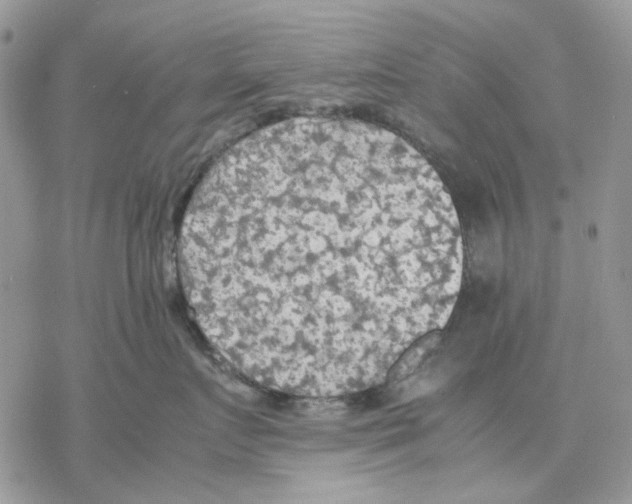 X0000077330719200611171807