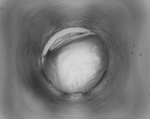 X0000077330720200611171807