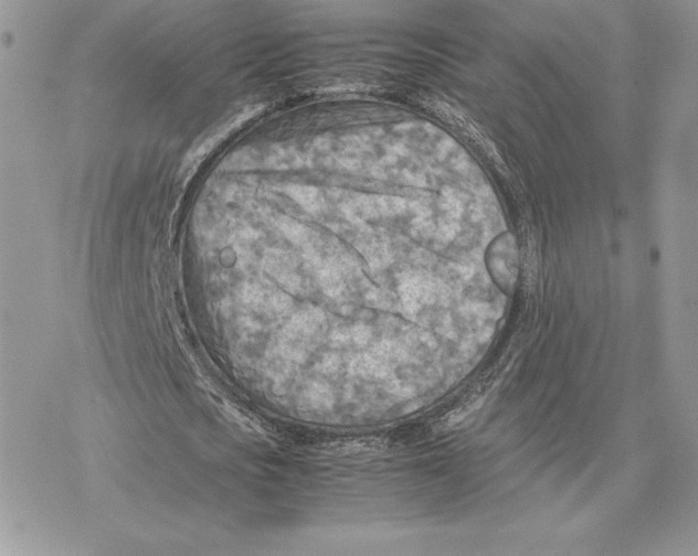 X0000077330721200611171806