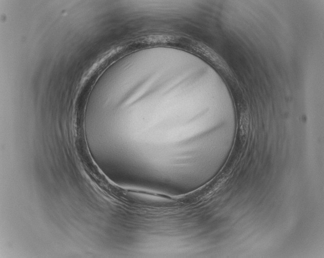 X0000077330722200611171806