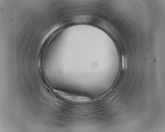 X0000077330723200611171806