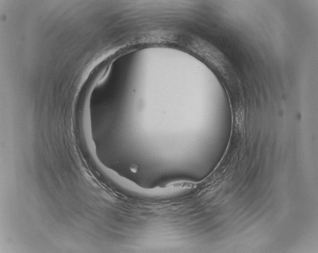 X0000077330724200611171806