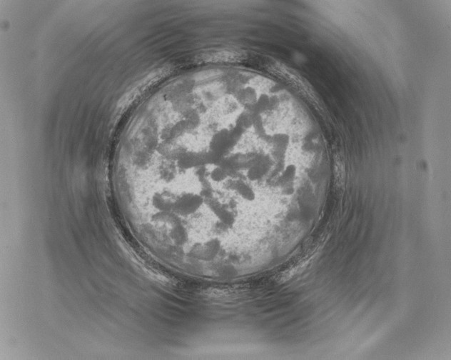 X0000077330725200611171807