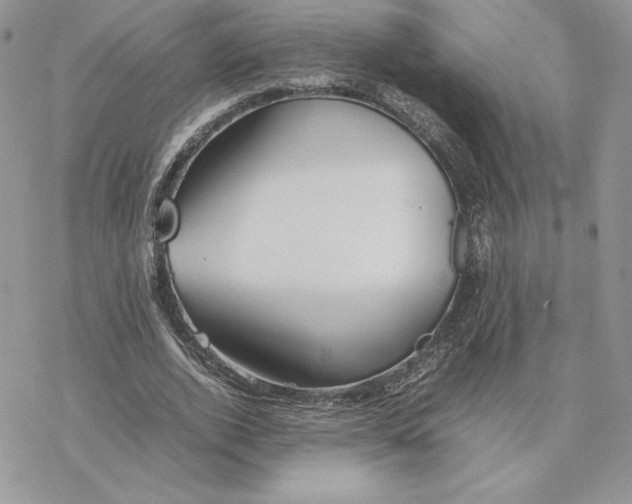 X0000077330728200611171807