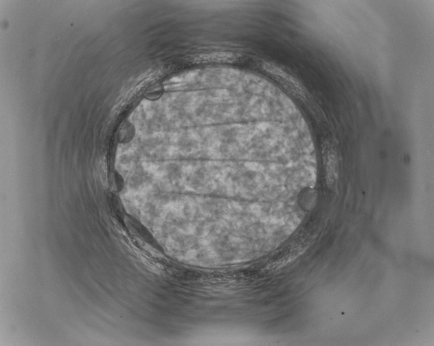 X0000077330729200611171807