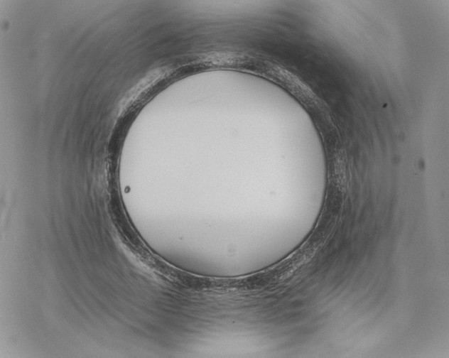 X0000077330730200611171807