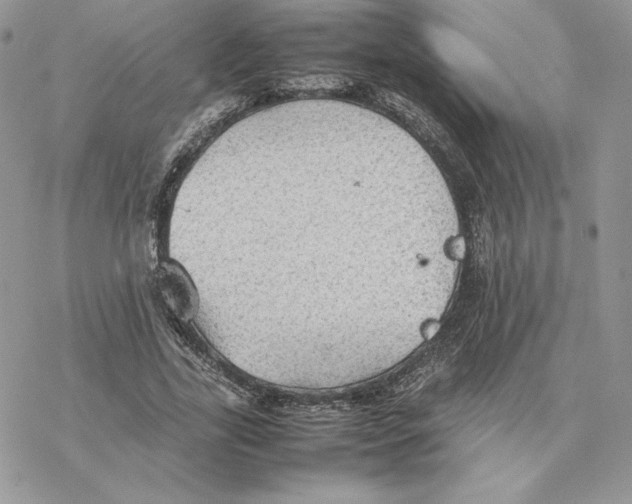 X0000077330731200611171807