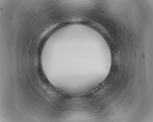 X0000077330732200611171807