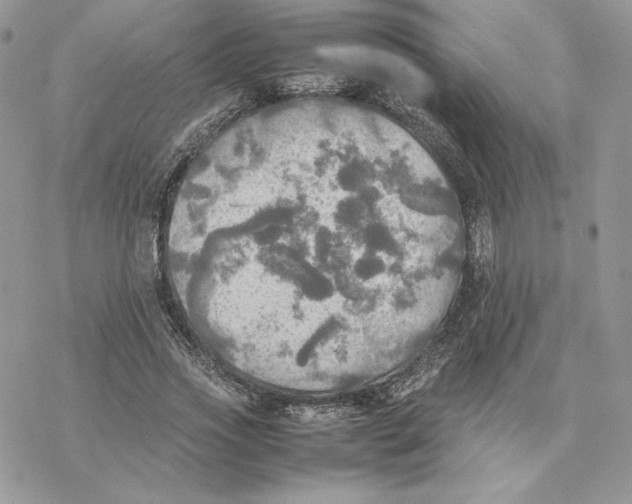 X0000077330733200611171807