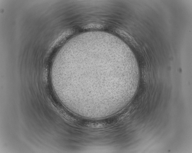 X0000077330735200611171807