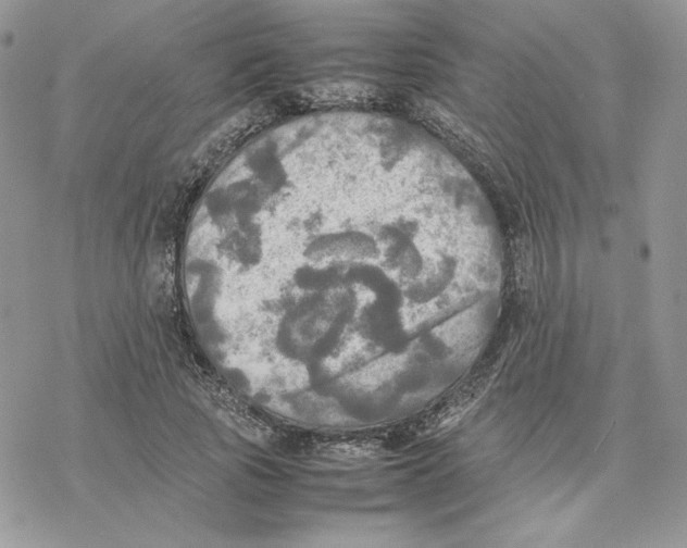 X0000077330737200611171807