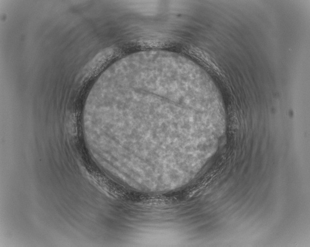 X0000077330738200611171807