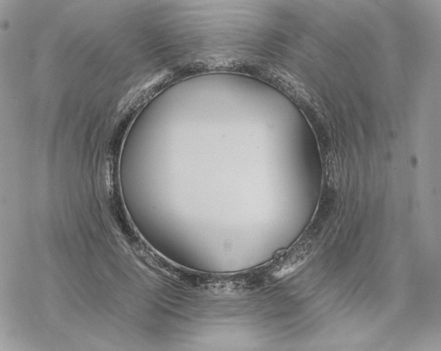 X0000077330740200611171807